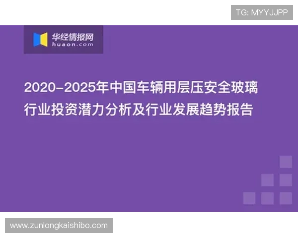 凯时网站支付方式多样化安全便捷保障玩家资金安全的实用技巧